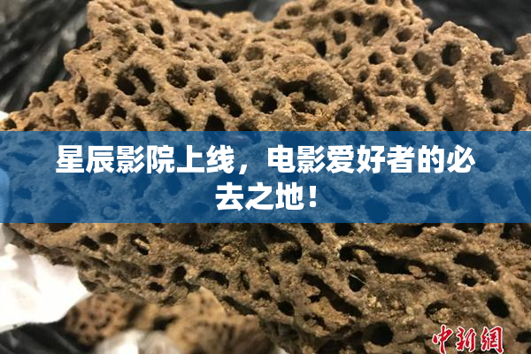 星辰影院上线，电影爱好者的必去之地！