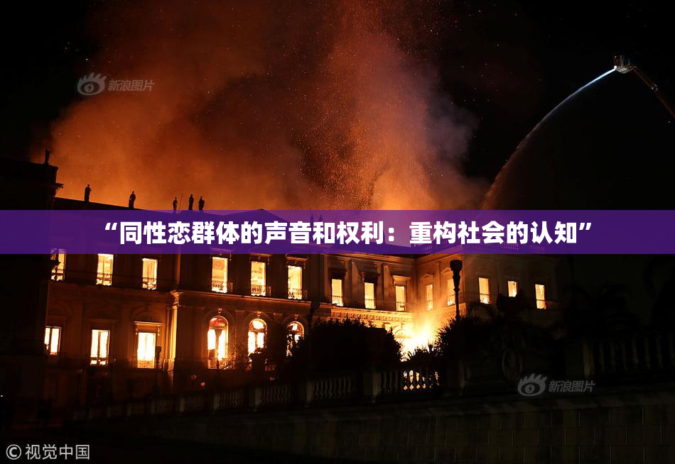 “同性恋群体的声音和权利：重构社会的认知”
