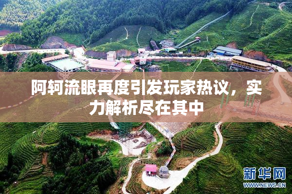 阿轲流眼再度引发玩家热议，实力解析尽在其中