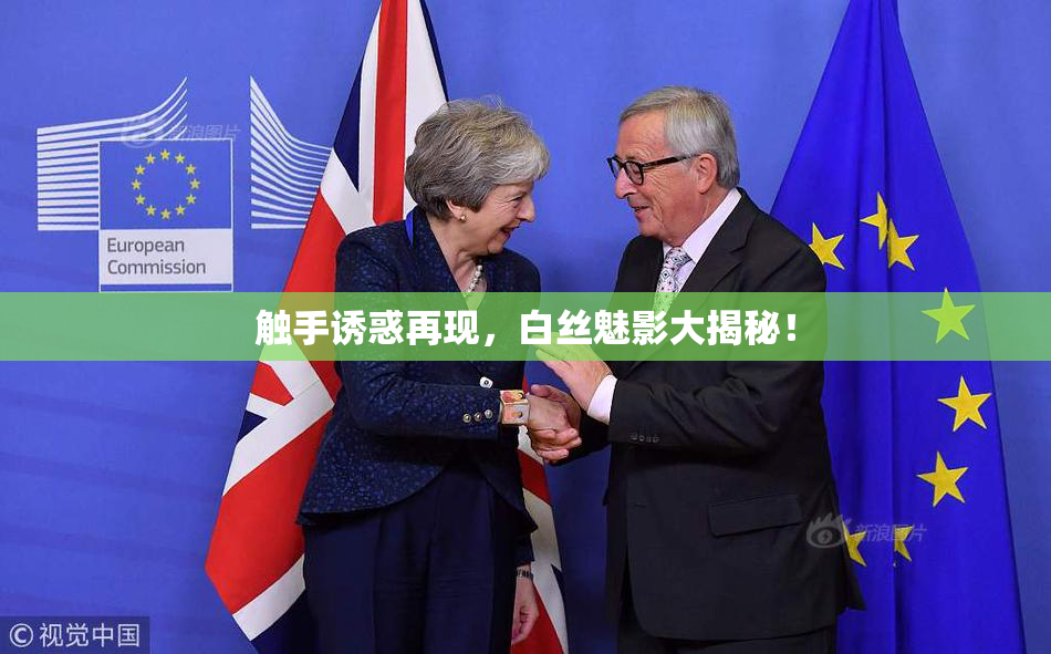 触手诱惑再现，白丝魅影大揭秘！