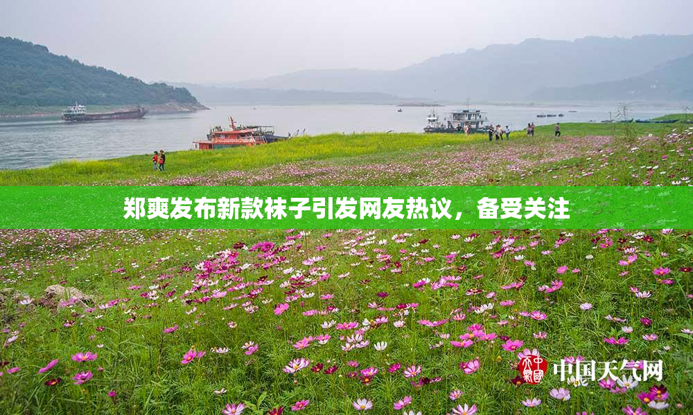 郑爽发布新款袜子引发网友热议，备受关注
