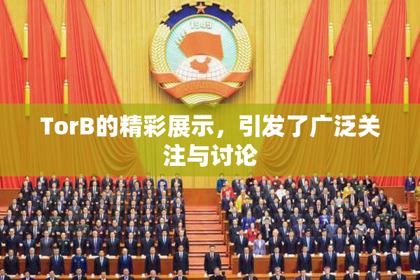 TorB的精彩展示，引发了广泛关注与讨论
