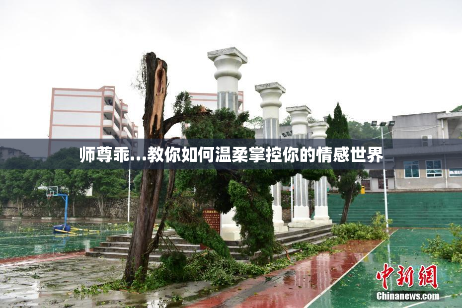 师尊乖…教你如何温柔掌控你的情感世界