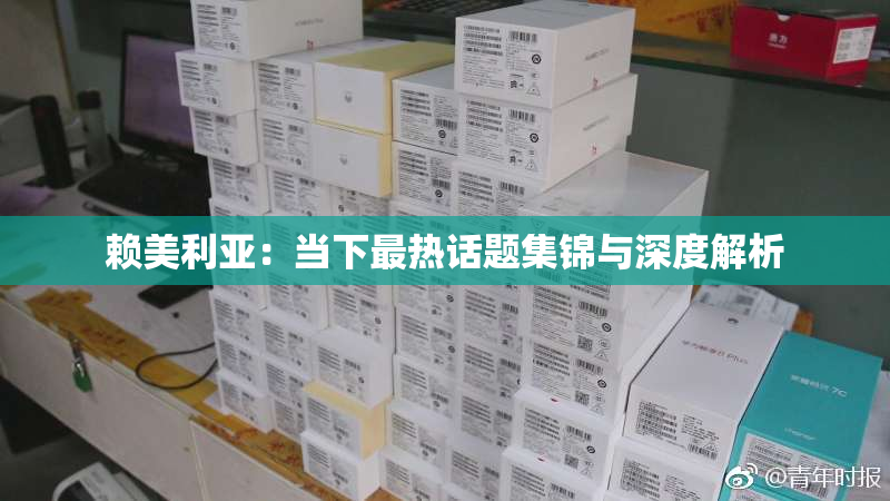 赖美利亚：当下最热话题集锦与深度解析