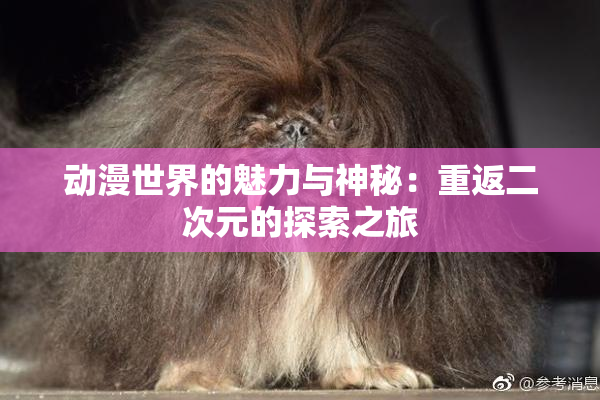动漫世界的魅力与神秘：重返二次元的探索之旅