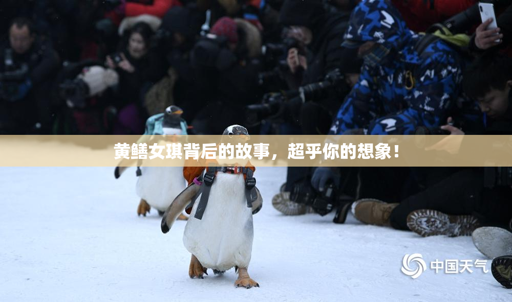 黄鳝女琪背后的故事，超乎你的想象！