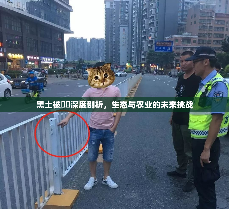 黑土被❌‌深度剖析，生态与农业的未来挑战