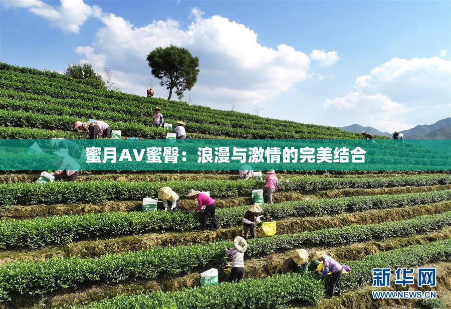 蜜月AV蜜臀：浪漫与激情的完美结合