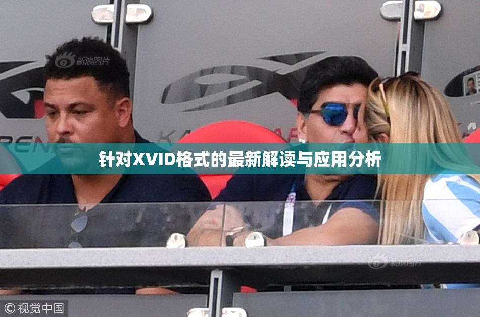 针对XVID格式的最新解读与应用分析