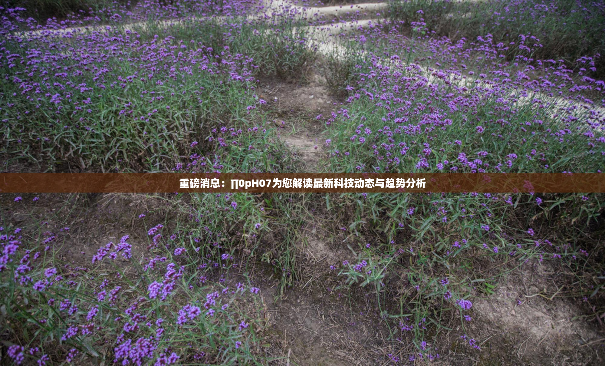重磅消息：∏0pH07为您解读最新科技动态与趋势分析