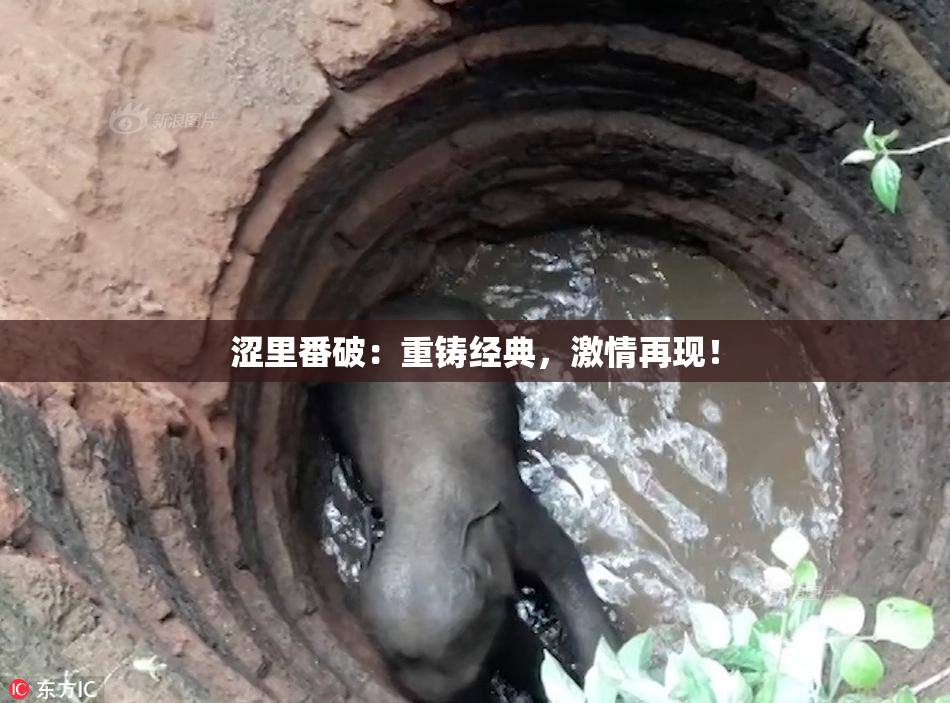 涩里番破：重铸经典，激情再现！