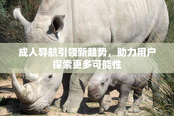 成人导航引领新趋势，助力用户探索更多可能性