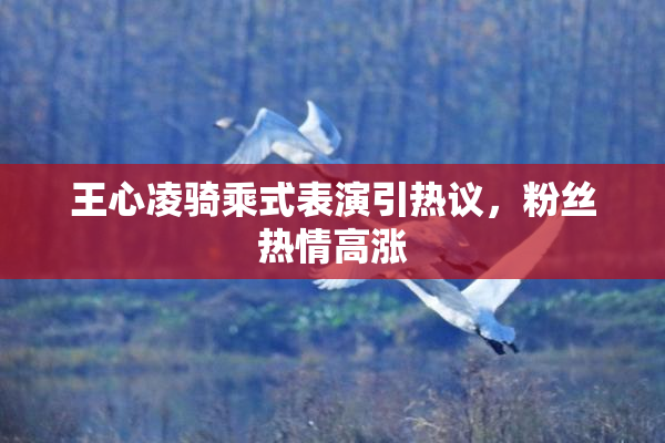 王心凌骑乘式表演引热议，粉丝热情高涨