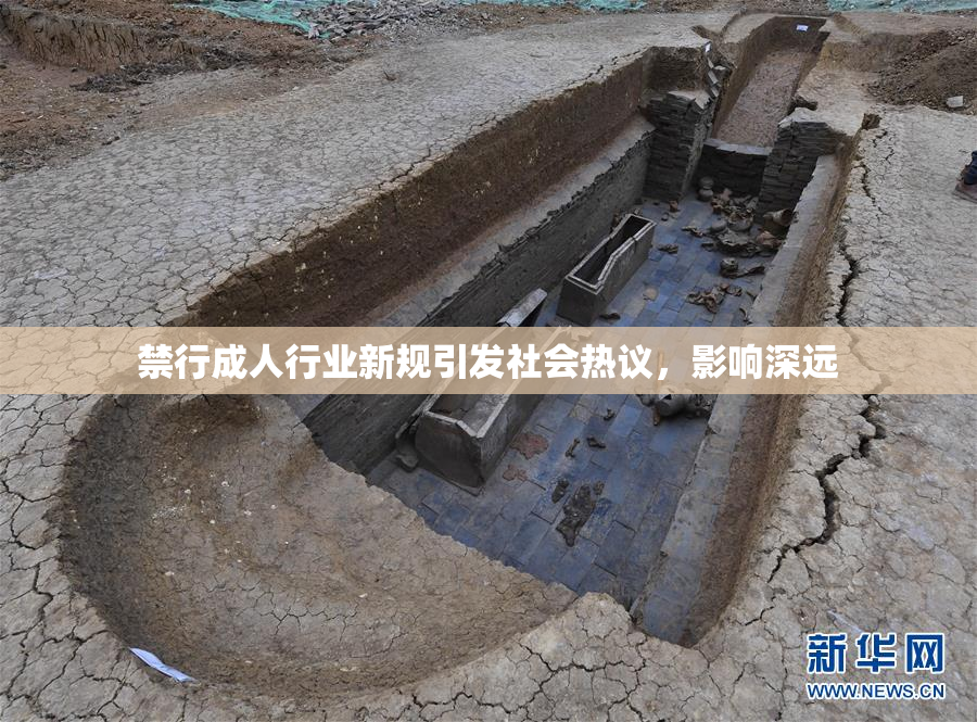 禁行成人行业新规引发社会热议，影响深远
