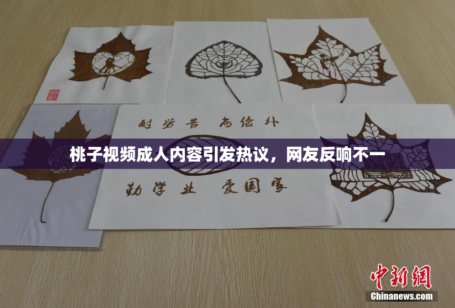桃子视频成人内容引发热议，网友反响不一