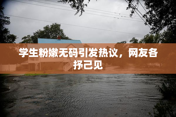 学生粉嫩无码引发热议，网友各抒己见