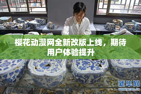 樱花动漫网全新改版上线，期待用户体验提升