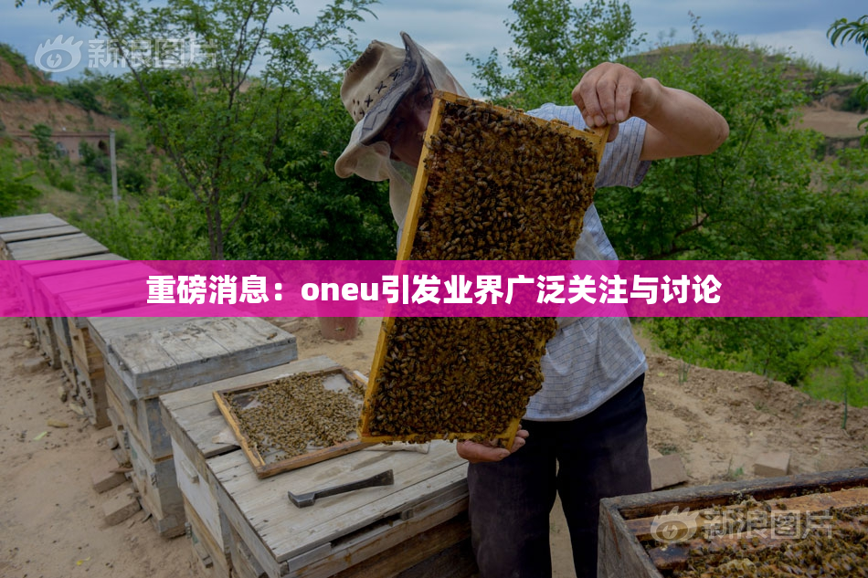 重磅消息：oneu引发业界广泛关注与讨论