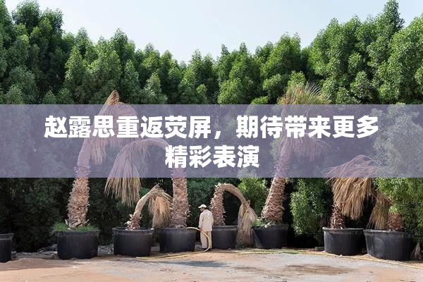 赵露思重返荧屏，期待带来更多精彩表演