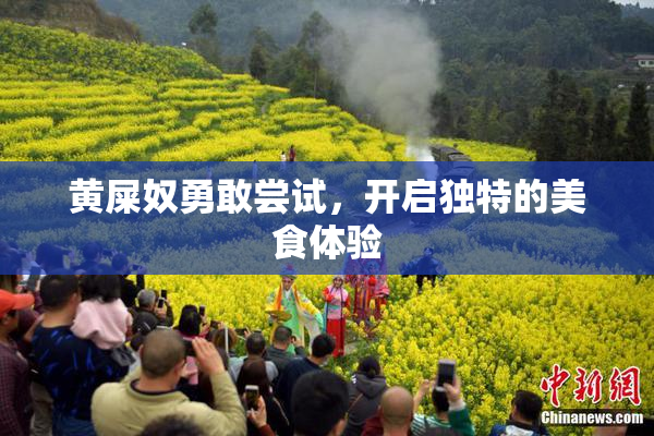 黄屎奴勇敢尝试，开启独特的美食体验