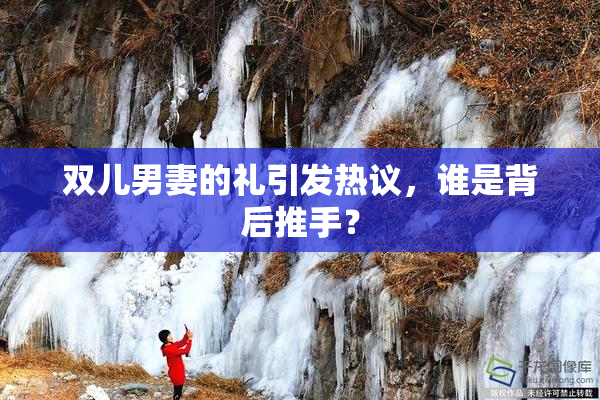 双儿男妻的礼引发热议，谁是背后推手？
