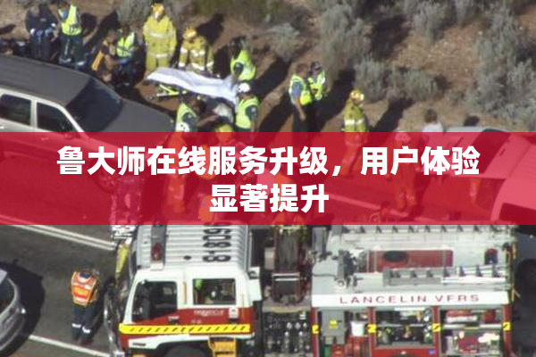 鲁大师在线服务升级，用户体验显著提升