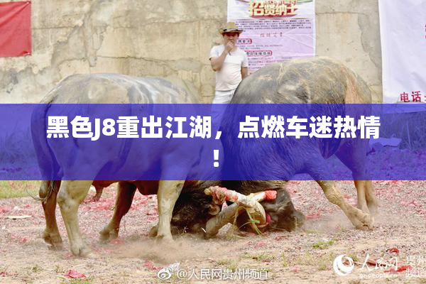 黑色J8重出江湖，点燃车迷热情！