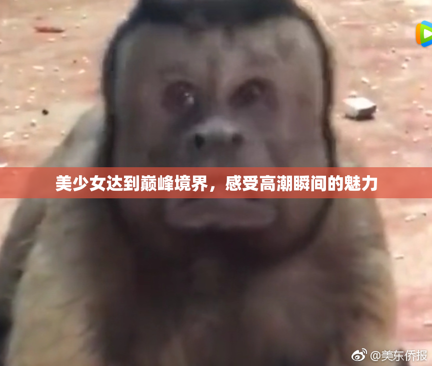 美少女达到巅峰境界，感受高潮瞬间的魅力
