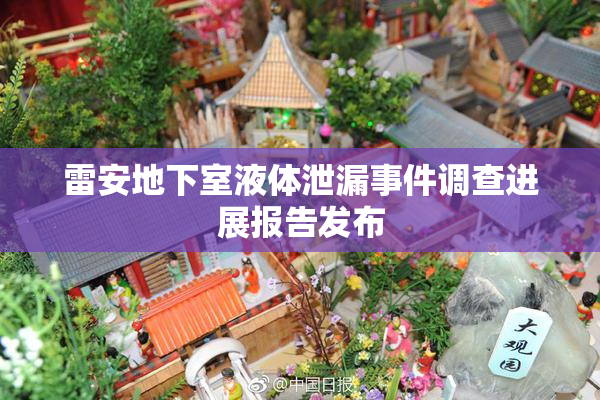 雷安地下室液体泄漏事件调查进展报告发布