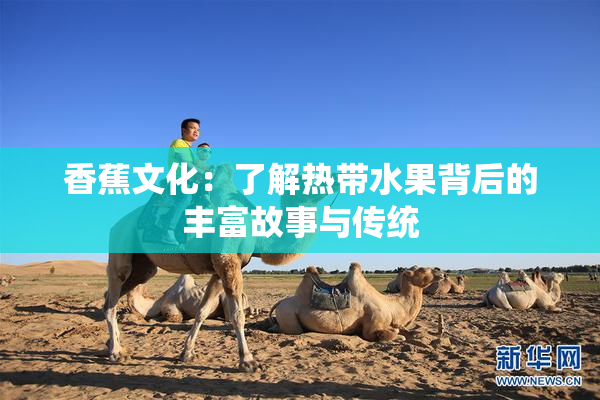 香蕉文化：了解热带水果背后的丰富故事与传统