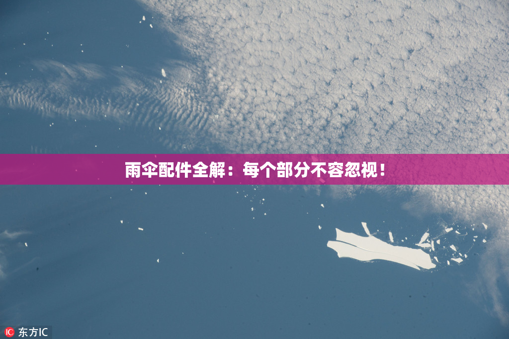 雨伞配件全解：每个部分不容忽视！
