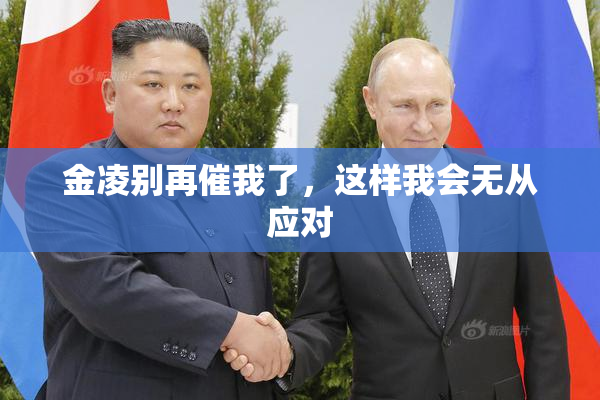 金凌别再催我了，这样我会无从应对