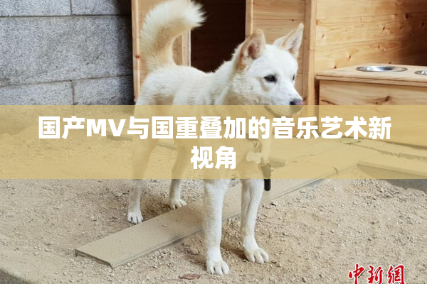 国产MV与国重叠加的音乐艺术新视角