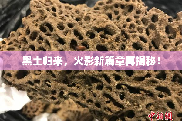 黑土归来，火影新篇章再揭秘！