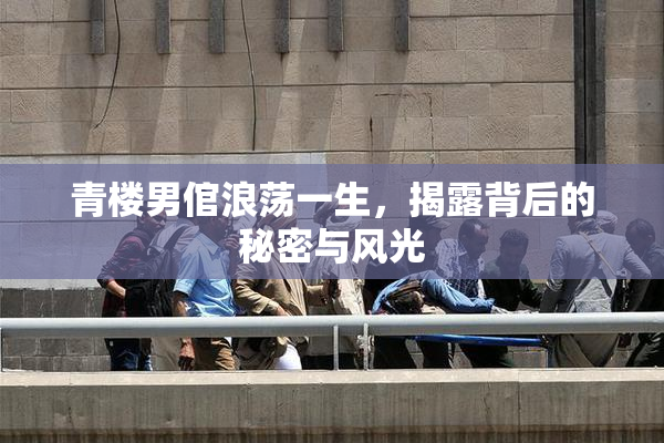 青楼男倌浪荡一生，揭露背后的秘密与风光