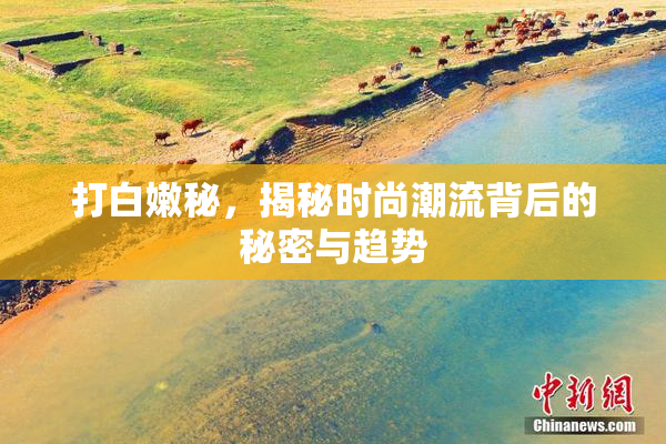 打白嫩秘，揭秘时尚潮流背后的秘密与趋势