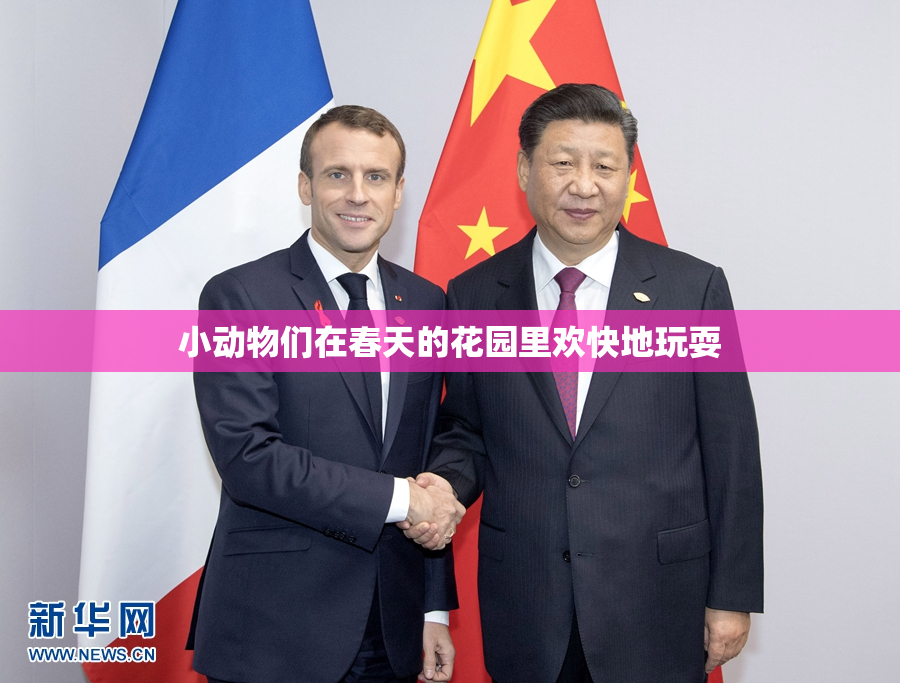 小动物们在春天的花园里欢快地玩耍