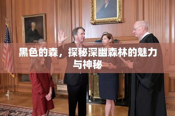 黑色的森，探秘深幽森林的魅力与神秘
