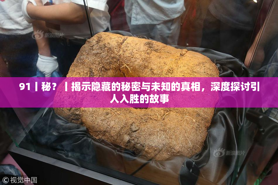 91丨秘？丨揭示隐藏的秘密与未知的真相，深度探讨引人入胜的故事