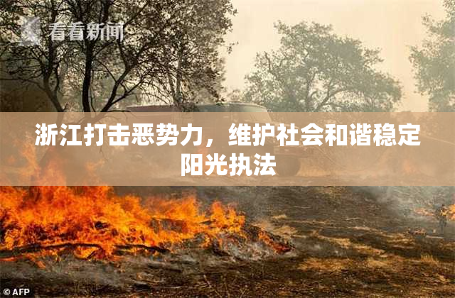浙江打击恶势力，维护社会和谐稳定阳光执法
