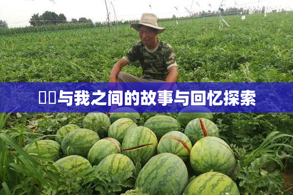 妺妺与我之间的故事与回忆探索