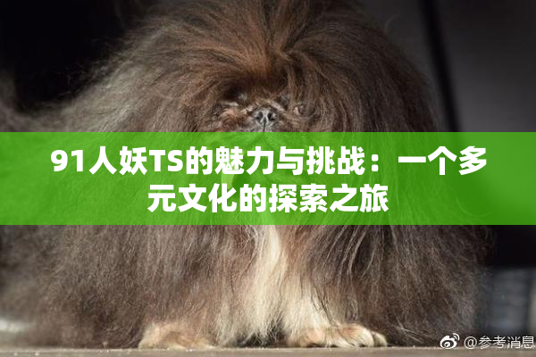 91人妖TS的魅力与挑战：一个多元文化的探索之旅