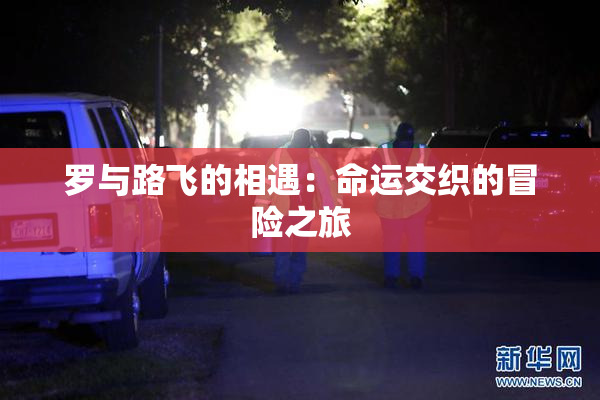 罗与路飞的相遇：命运交织的冒险之旅