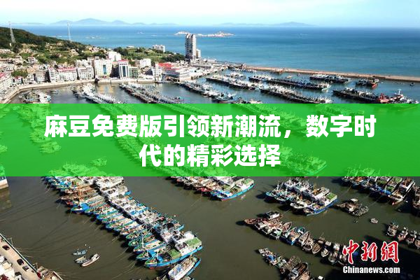 麻豆免费版引领新潮流，数字时代的精彩选择
