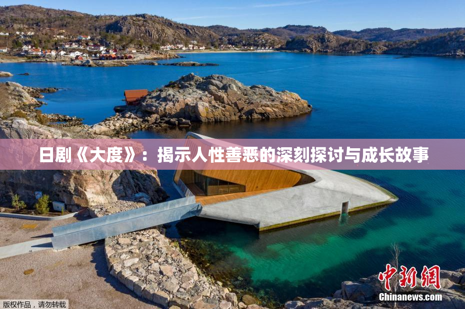 日剧《大度》：揭示人性善恶的深刻探讨与成长故事