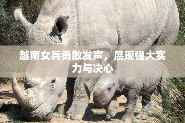 越南女兵勇敢发声，展现强大实力与决心