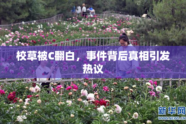 校草被C翻白，事件背后真相引发热议