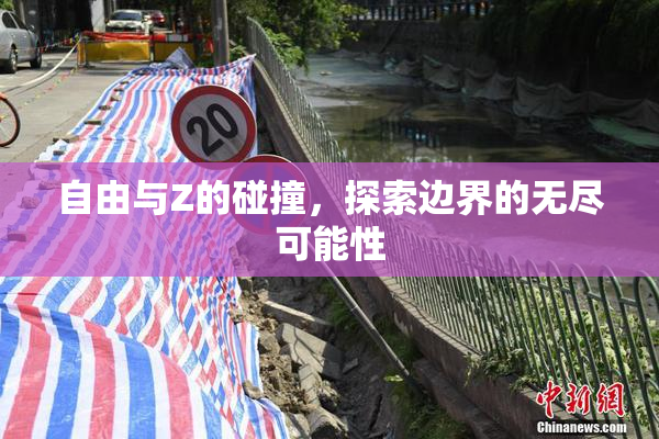 自由与Z的碰撞，探索边界的无尽可能性