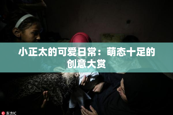 小正太的可爱日常：萌态十足的创意大赏
