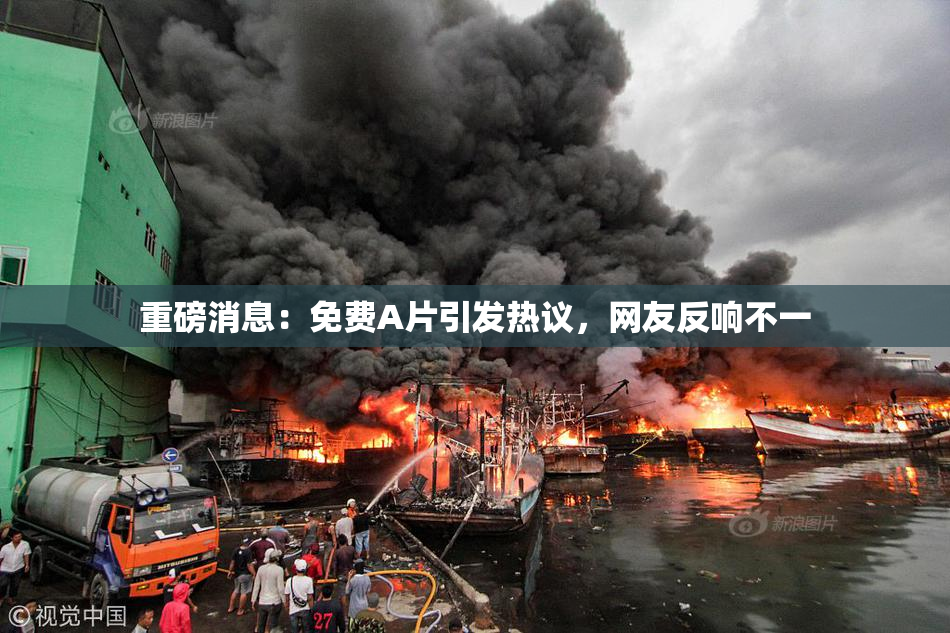 重磅消息：免费A片引发热议，网友反响不一